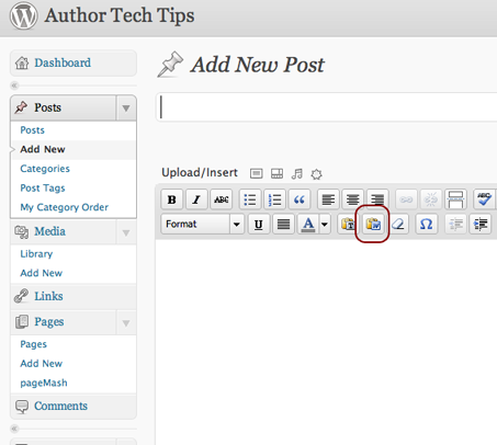 Paste from Word Button