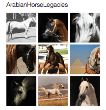 Horse Lover Pinterest Board Horse Lover Pinterest Board