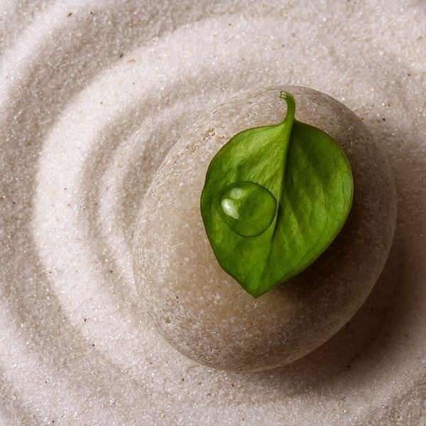 How To Find Zen Mode in WordPress