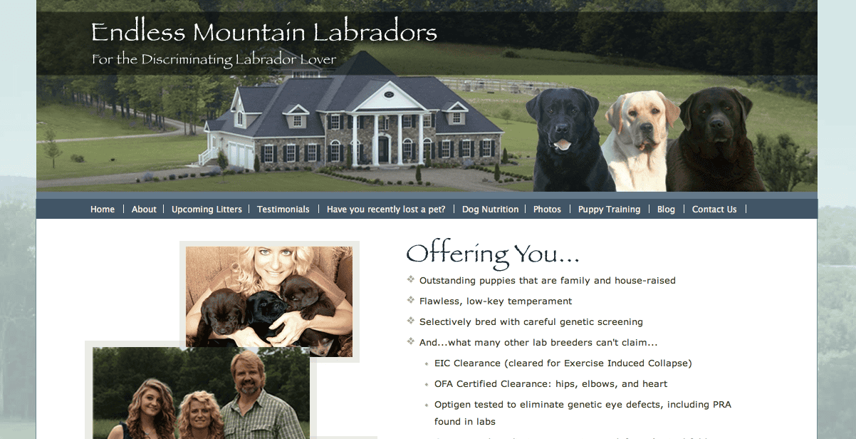 Endless Mountain Labradors Website