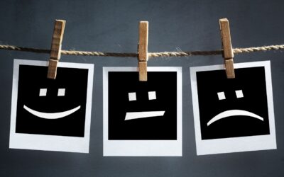 The Amazing Power of Reader Surveys 